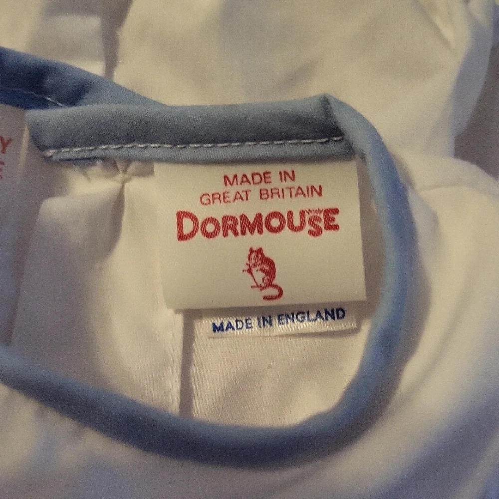 Dormouse adorable blue